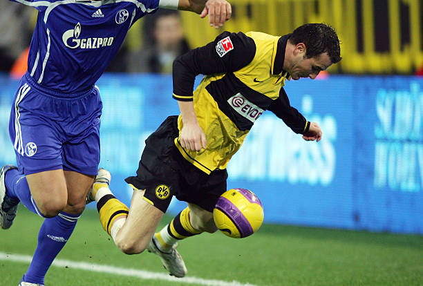 提供珍贵的 提供珍贵的